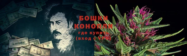 мдпв Михайловск