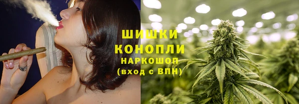 ГАЛЛЮЦИНОГЕННЫЕ ГРИБЫ Алагир