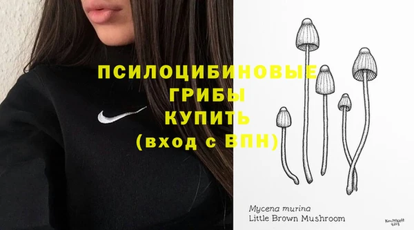 СК Михайловка