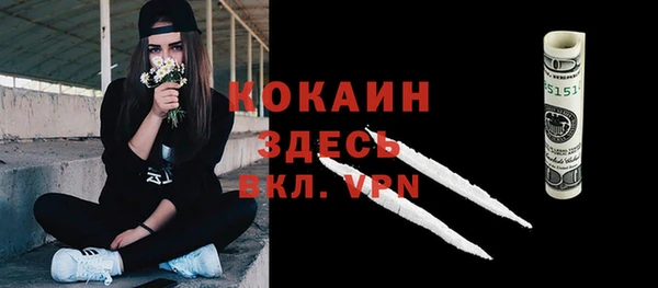 мдпв Михайловск