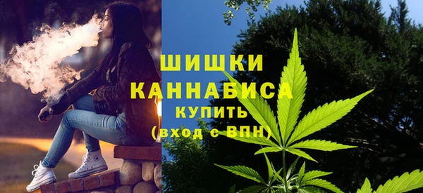 мдпв Михайловск