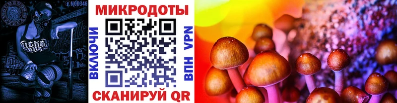 KRAKEN ссылка Бабаево Галлюциногенные грибы GOLDEN TEACHER купить закладку